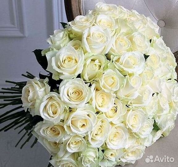 Розы Цветы Букеты 25 151 201 101 301 501 опт