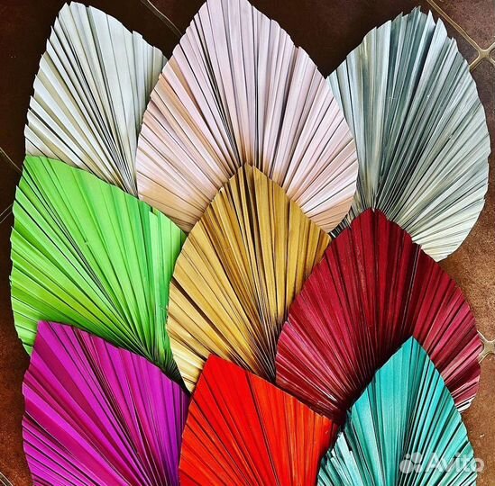 Цветы сухоцветы