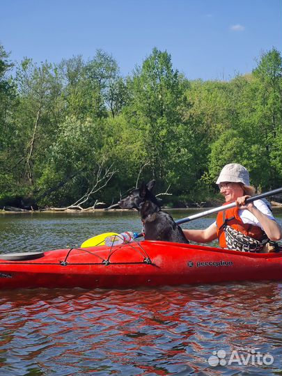 Сплав на байдарке, каяке, сапе
