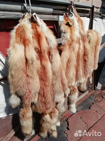 Шкуры лисы