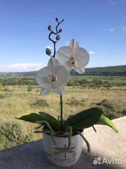 Цветы из холодного фарфора