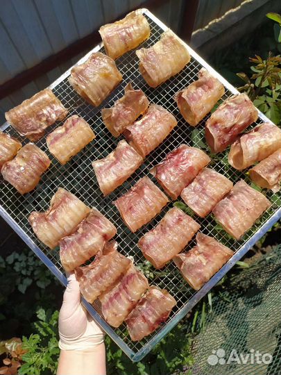 Сушеные лакомства для собак