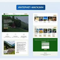 Создание сайта визитки для бизнеса, Ступино