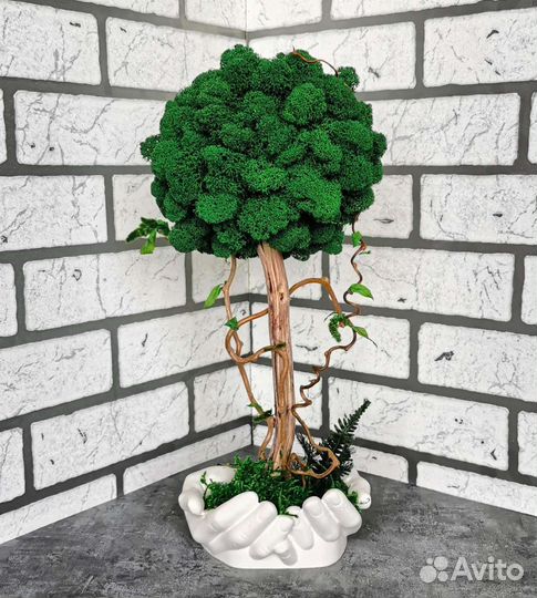 Дерево из стабилизированного мха