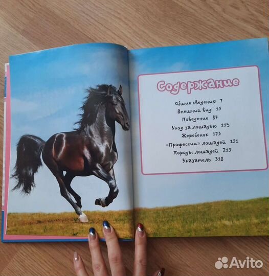 Яркая книга-альбом 