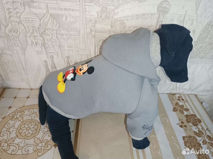 Кофта для собак