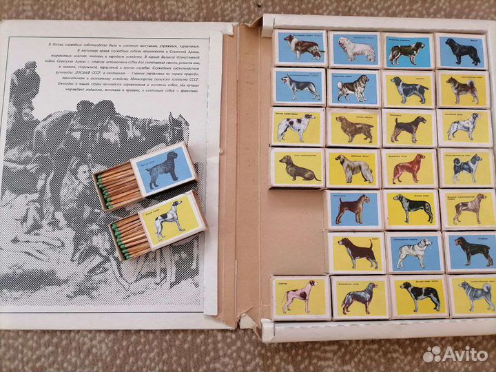 Набор спичек Служебные и охотничьи собаки