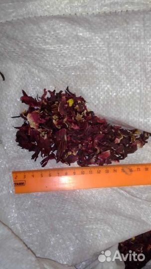 Гибискус крупнолистовой (Каркадэ) Нигерия