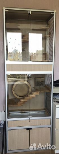 Витрина для шиншилл