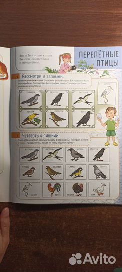 Логопедические пособия. Школа Натальи Теремковой