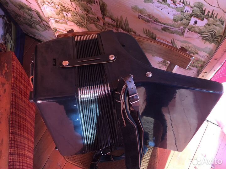 Аккордеон Борей