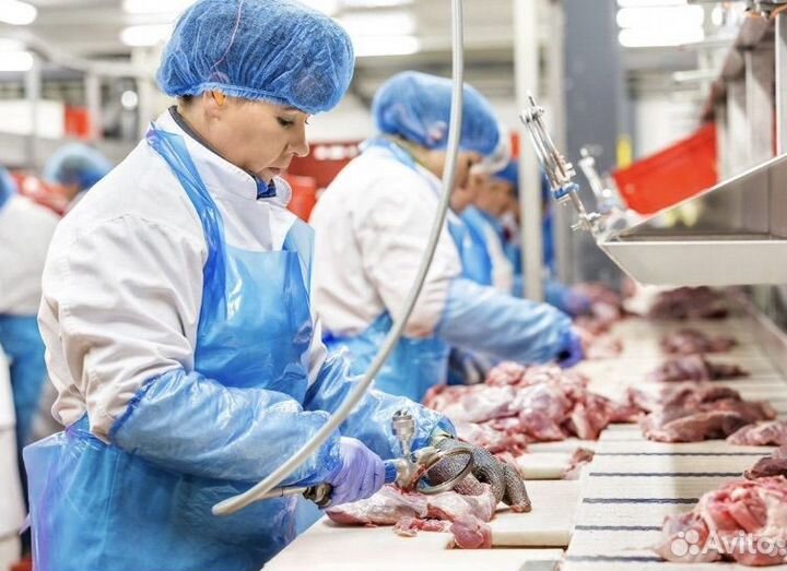 Работник на птицефабрику