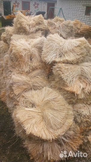 Липовое лыко