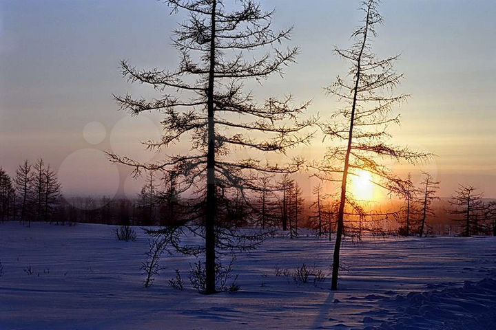 Дача 25 м² на участке 1 сот.