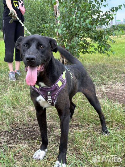 Нежный и робкий мальчик