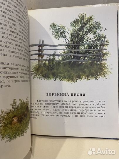 В.Астафьев. В тайге, у Енисея, 1982