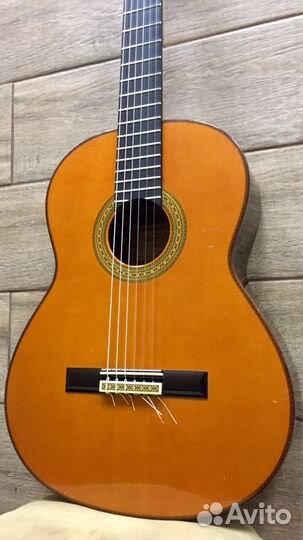 Yamaha GC-50 Grand Concert Custom