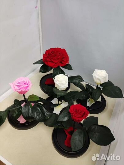 Роза в колбе оптом