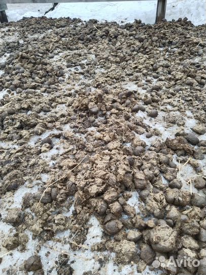 Конский навоз