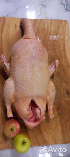 Мясо индюка