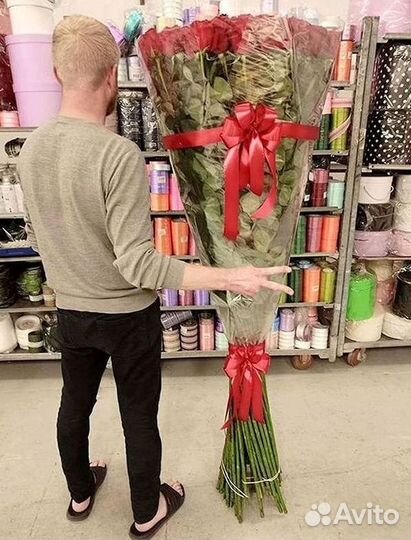 101 роза цветы букеты доставка 25 51 101 роза