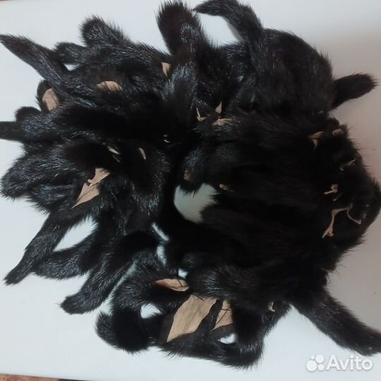 Хвостики норки