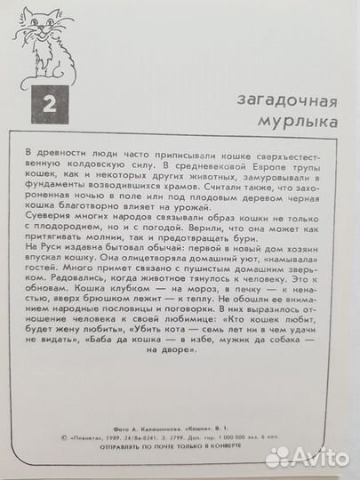 Набор открыток Кошки