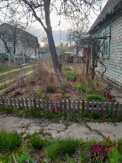 Дача 20 м² на участке 5 сот.