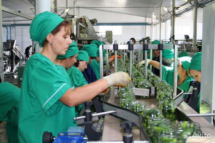 Завод консерв.Требуются Сортировщики