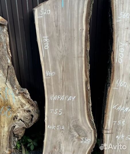 Слэб термо карагач, ясень, дуб