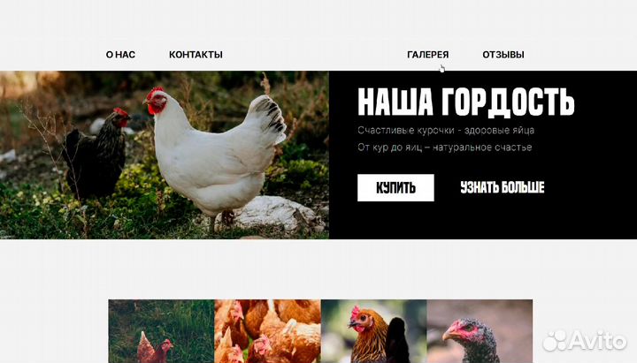 Создание Landing Page для бизнесов