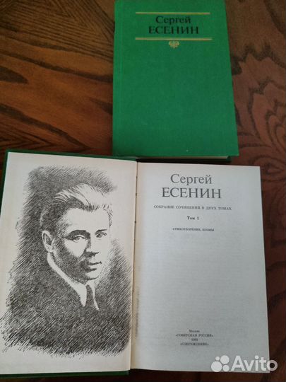 Сергей Есенин в 2 томах