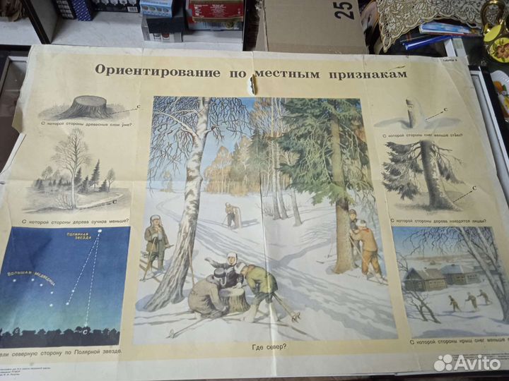 Плакаты по топографии, ориентированию и т. П