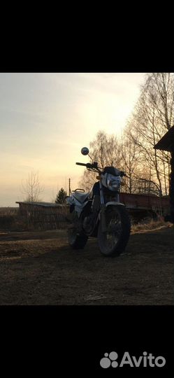 Десна 220 фантом