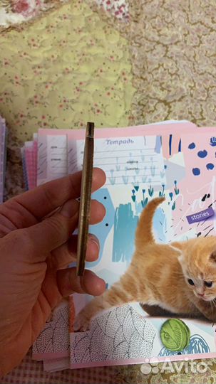 Медали школьникам к праздникам