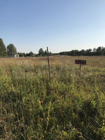 Участок 25 сот. (ИЖС)