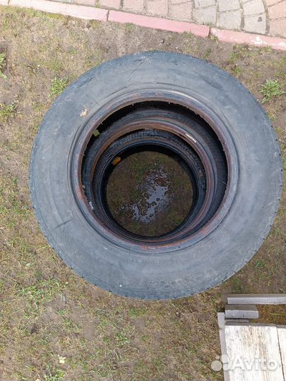 Lassa Transway 2 195/70 R15