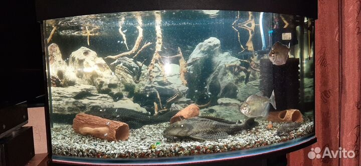 Аквариум 200 л с тумбой