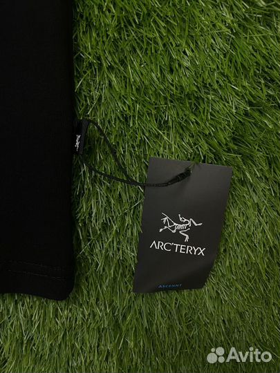 Футболка мужская Arcteryx