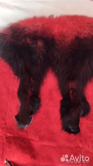 Элегантный полушубок норка