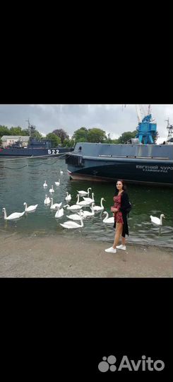 Услуги риэлтора