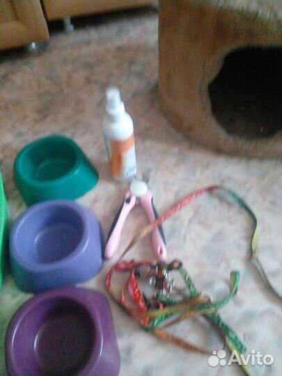 Все для кошек