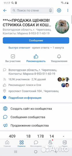Щенки булли