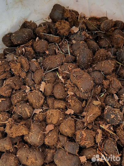 Навоз конский в мешках