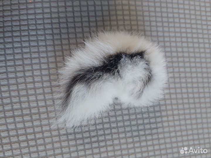 Карнавальный набор зайчик