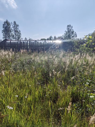 Участок 20 сот. (ИЖС)