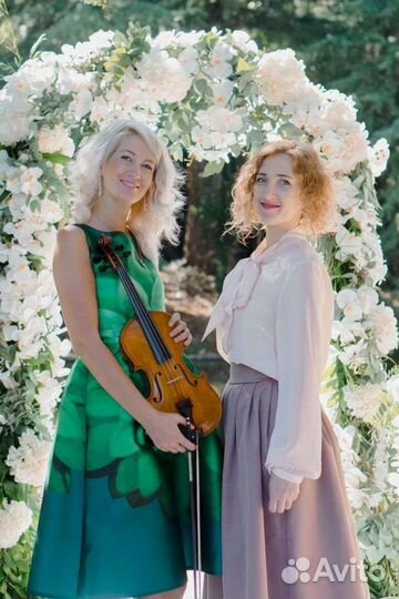 Скрипка, скрипач, скрипачка в Сочи