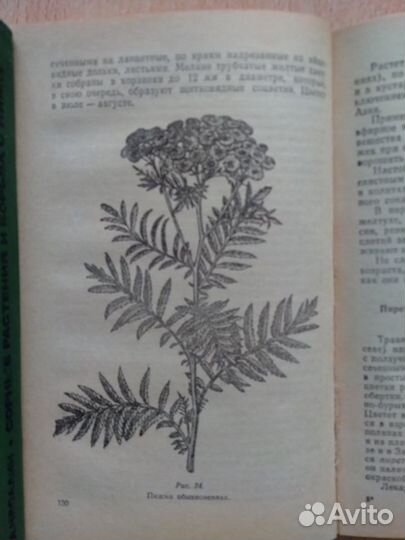 Лекарственные растения и их применение 1973 г