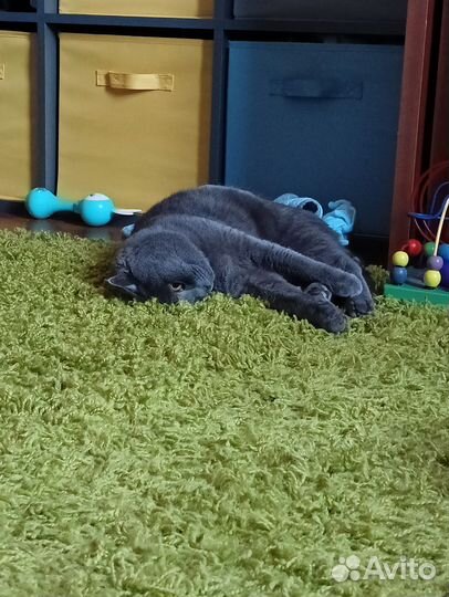 Ковёр 200см на 300см