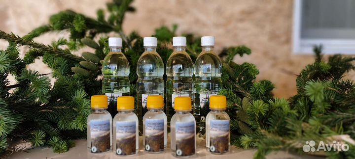 Пихтовое масло Алтая